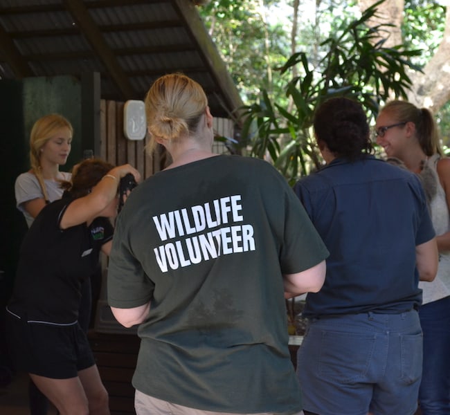 Careers Training Centre student completing practical wildlife training in Cairns
