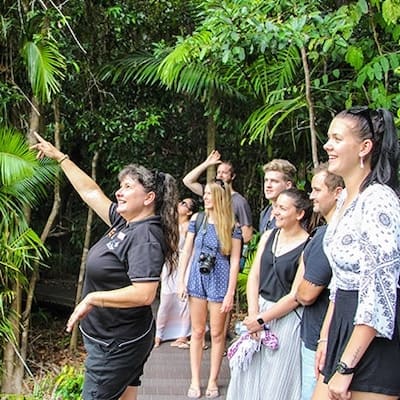 Tourism student taking part in a guided rainforest visitor experience.