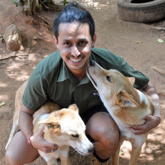 Student learning in a wildlife training environment.