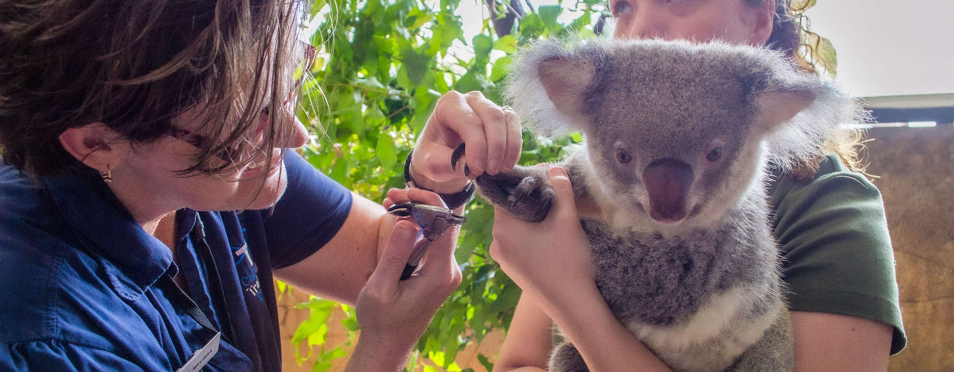 Student learning wildlife and animal care skills with a trainer.