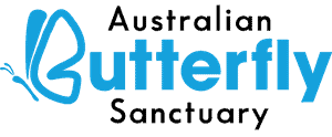 Australian Butterfly Sanctuary