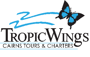 Tropic Wings